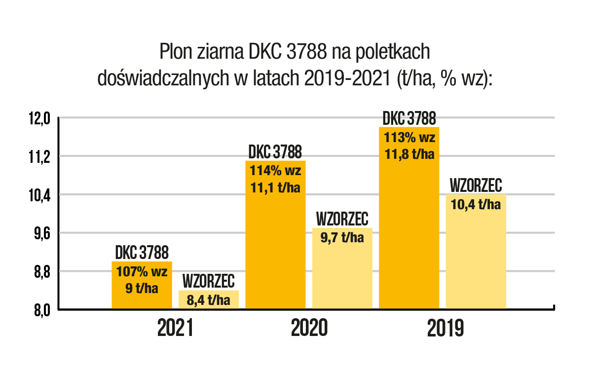 plon ziarna kukurydzy DKC 3788