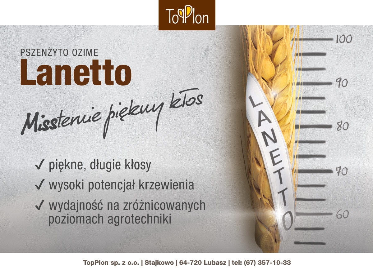 reklama pszenżyta ozimego Lanetto
