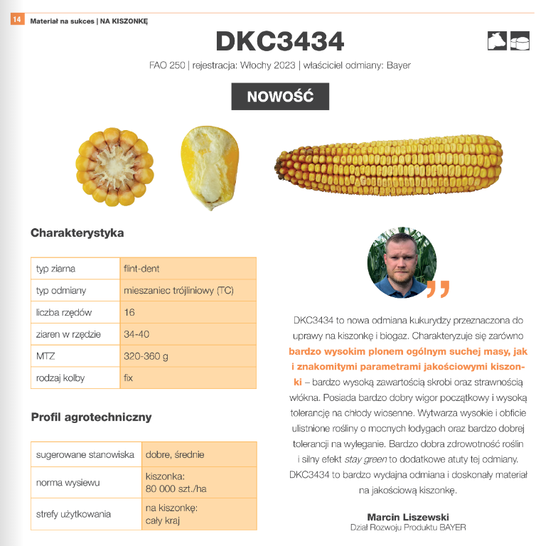 kukurydza DKC3434 cechy katalog Agrolok