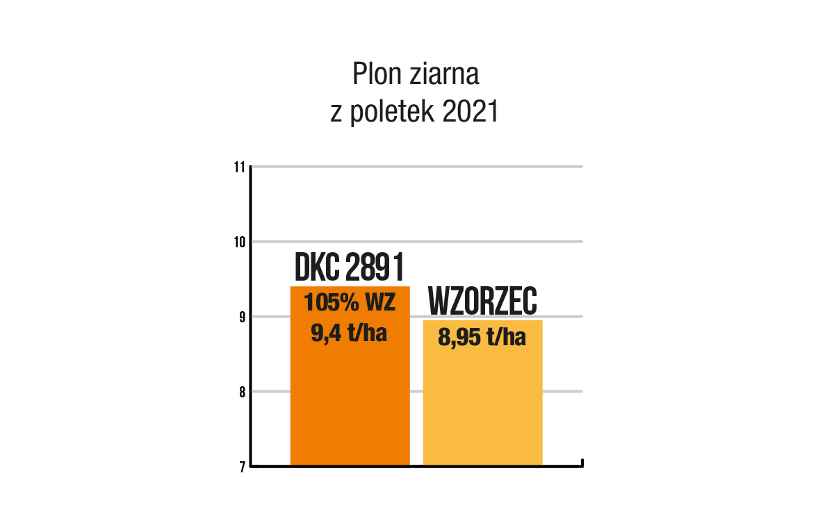 plon ziarna DKC 2891