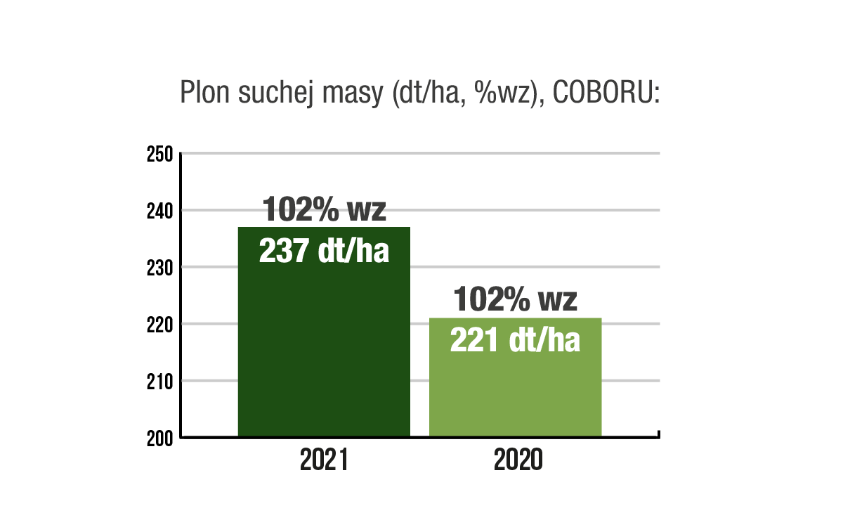 plon suchej masy kukurydza Rozeen