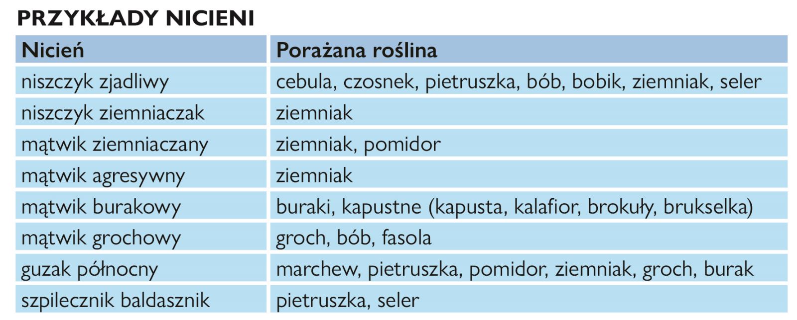 przykłady nicieni