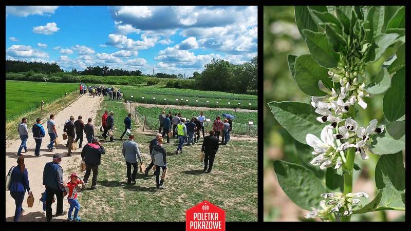 Fotorelacja z Poletek Pokazowych