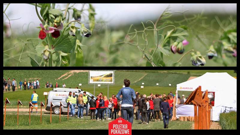 Fotorelacja z Poletek Pokazowych