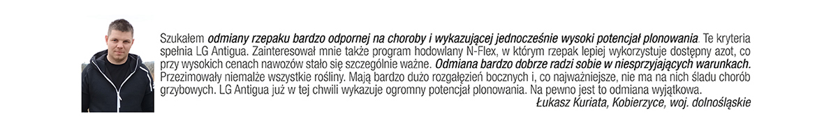 opinia klienta nt. rzepaku ozimego LG Antigua