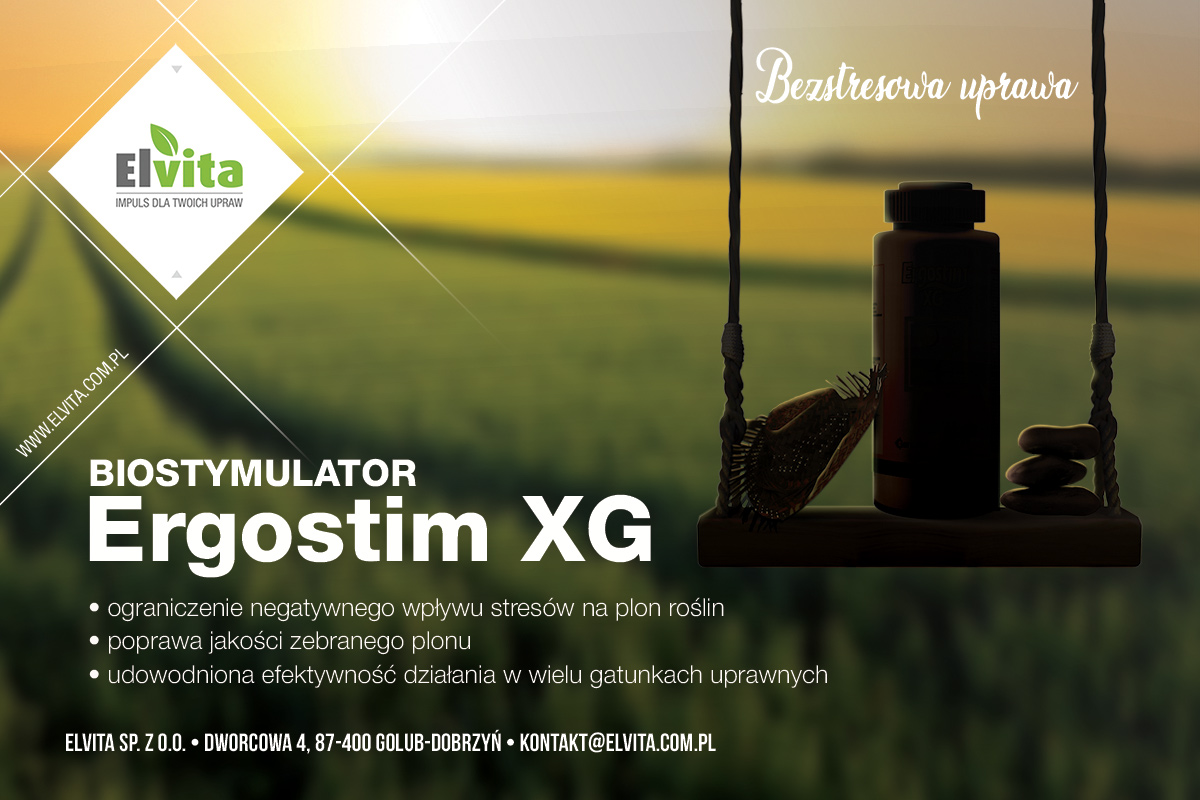 reklama ergostim xg