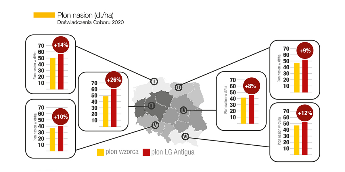 wyniki plonowania rzepaku lg antigua 