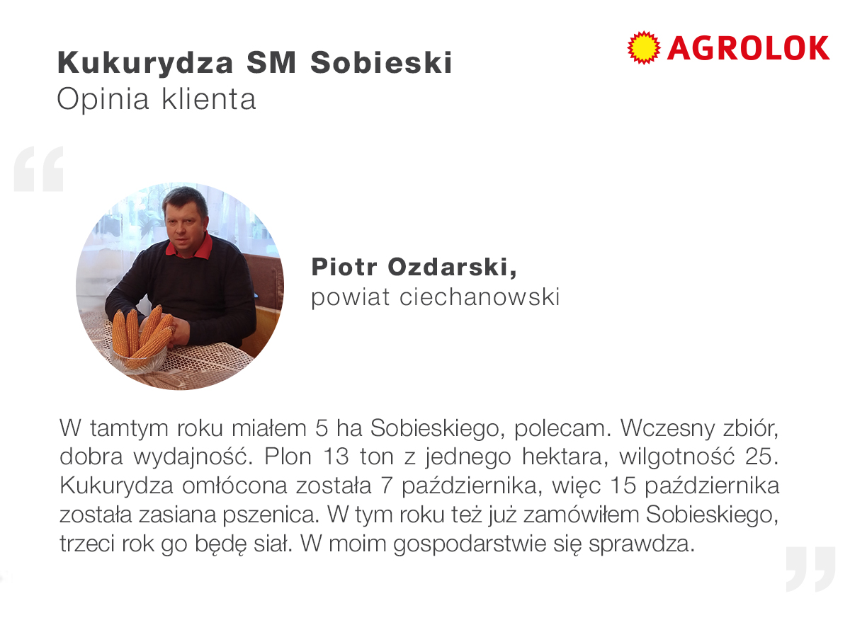 polska odmiana kukurydzy SM Sobieski opinia klienta