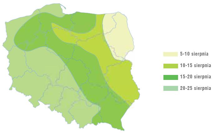 mapa terminów siewu rzepaku ozimego