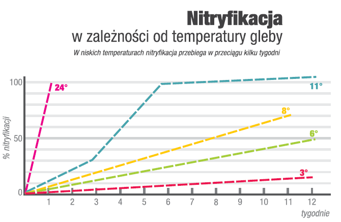 Nitryfikacja