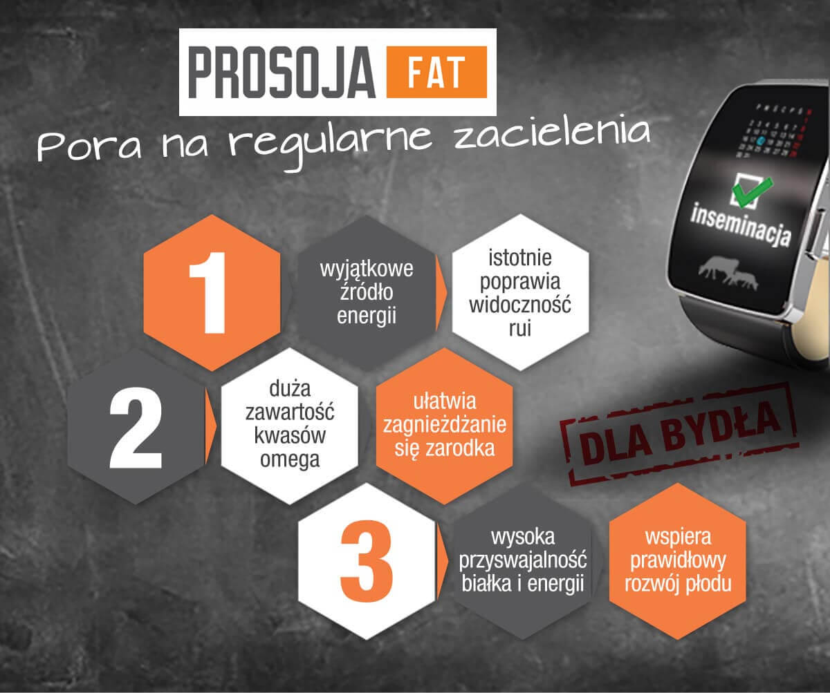 Dla bydła