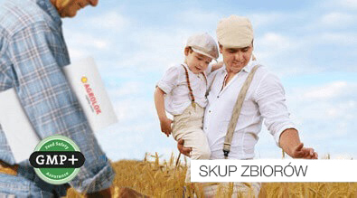 Skup zbóż