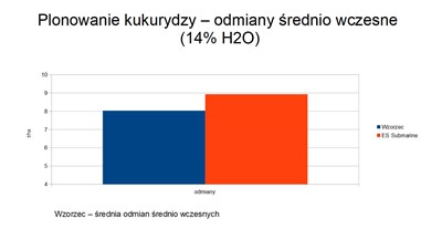 Pora na plony średnio wczesnych odmian kukurydzy z naszych poletek doświadczalnych.  