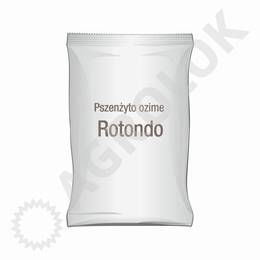 Pszenżyto ozime Rotondo C1 25kg