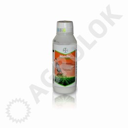 Maister Power 42,5 OD 1l Maister Power 42,5 OD 1l