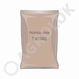 Pszenica ozima Patras C1 50kg