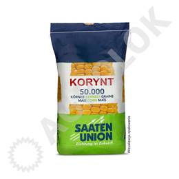 Kukurydza Korynt (50tys.) 230-240 FAO