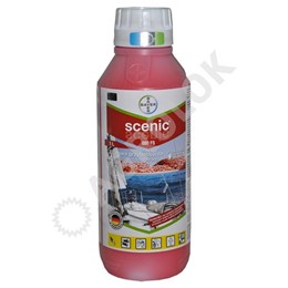 Scenic 080 FS 1l