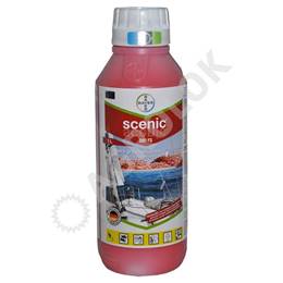 Scenic 080 FS 1l Scenic 080 FS 1l