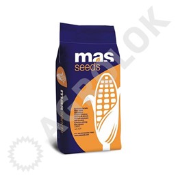 Kukurydza MAS 24.C (50 tys.) 250-260 FAO