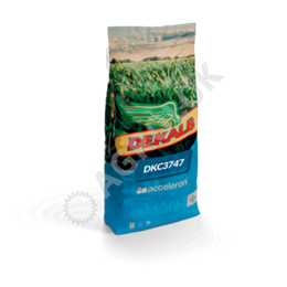 DKC3747 (50 tys.), 260 FAO