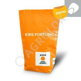 Kukurydza KWS Forturio C/1 (50tyś.) 270-280 FAO