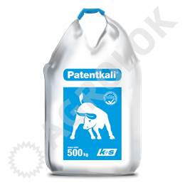 PatentKali 500kg