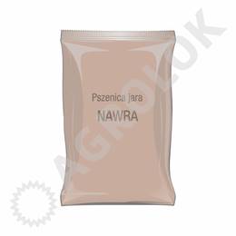 Pszenica jara Nawra C1 50kg